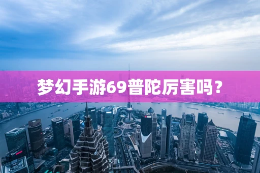 梦幻手游69普陀厉害吗？