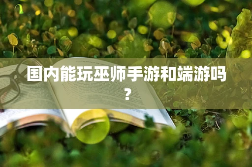 国内能玩巫师手游和端游吗？