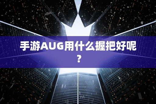 手游AUG用什么握把好呢？