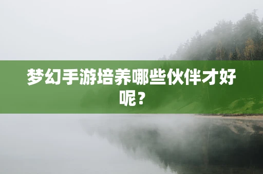 梦幻手游培养哪些伙伴才好呢？