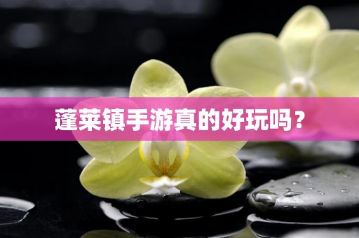 蓬莱镇手游真的好玩吗？