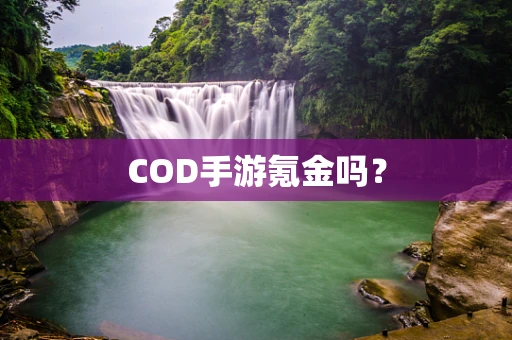 COD手游氪金吗？