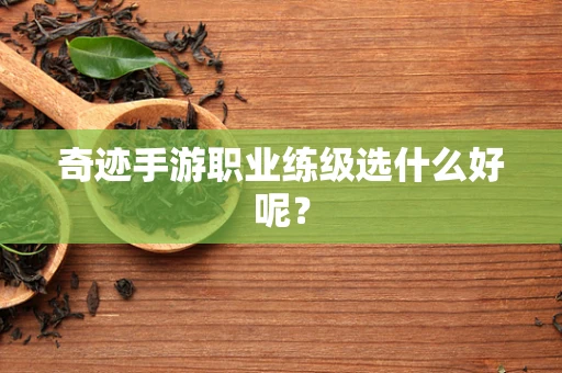 奇迹手游职业练级选什么好呢？