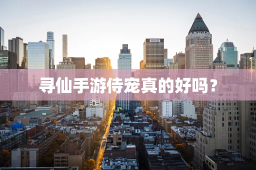 寻仙手游侍宠真的好吗？