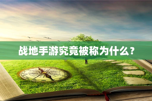 战地手游究竟被称为什么？