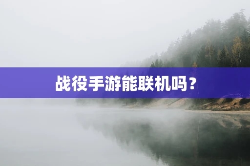 战役手游能联机吗？
