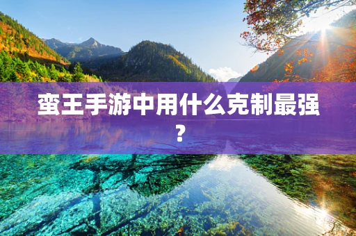 蛮王手游中用什么克制最强？