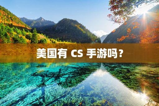 美国有 CS 手游吗？