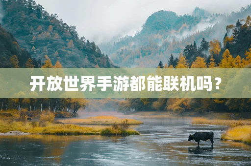 开放世界手游都能联机吗？