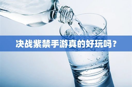 决战紫禁手游真的好玩吗？