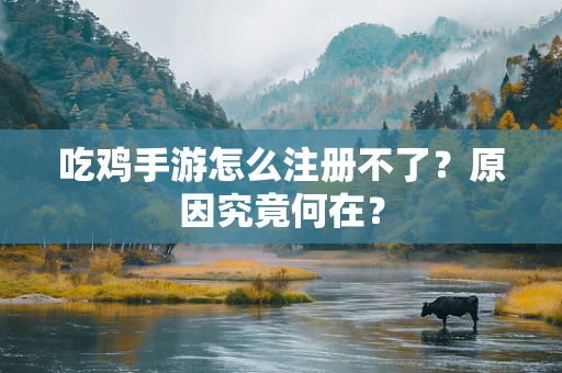 吃鸡手游怎么注册不了？原因究竟何在？