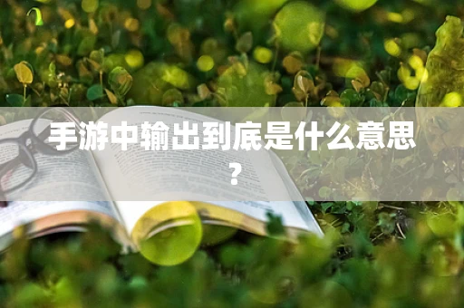 手游中输出到底是什么意思？
