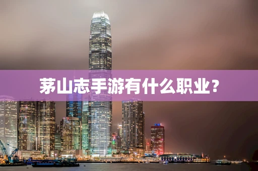 茅山志手游有什么职业？