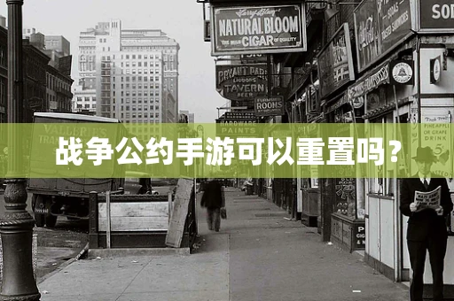 战争公约手游可以重置吗？