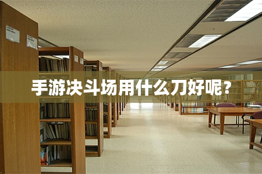 手游决斗场用什么刀好呢？