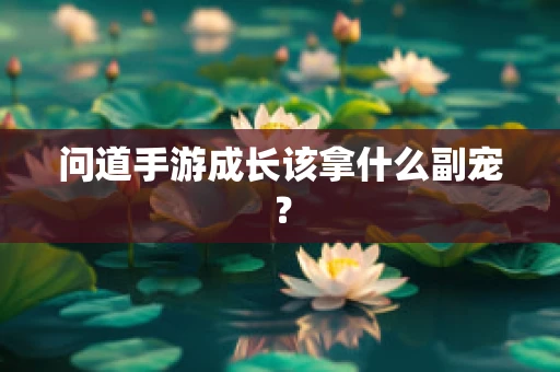 问道手游成长该拿什么副宠？