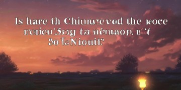 火影手游有中文配音吗？