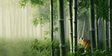有哪些和卧虎藏龙差不多的手游呢？